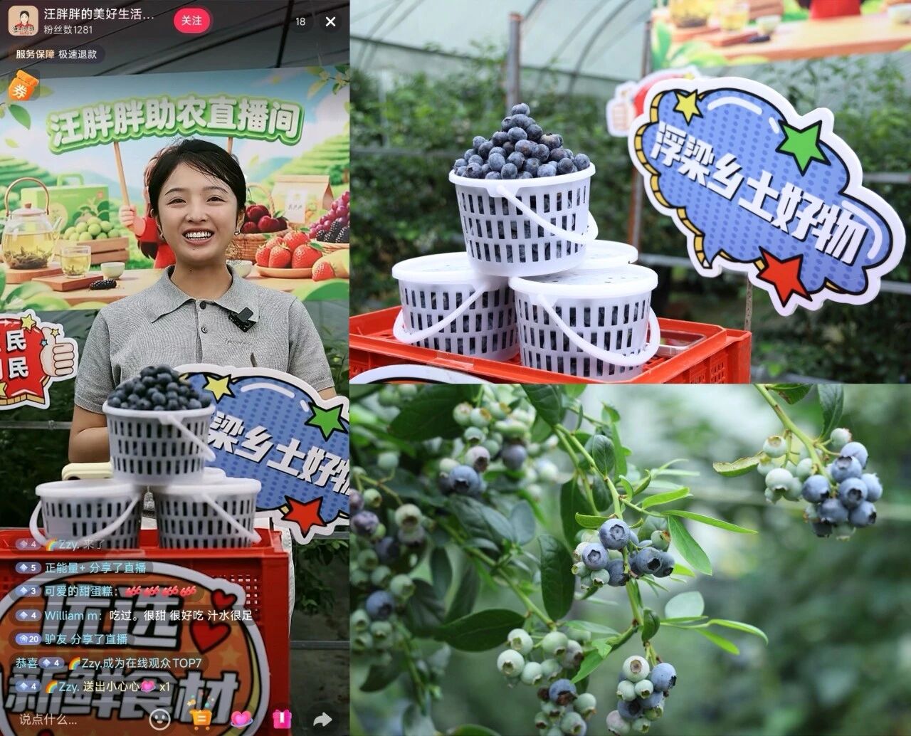 邂逅“莓”好时光！县融媒体中心开展首场公益助农直播