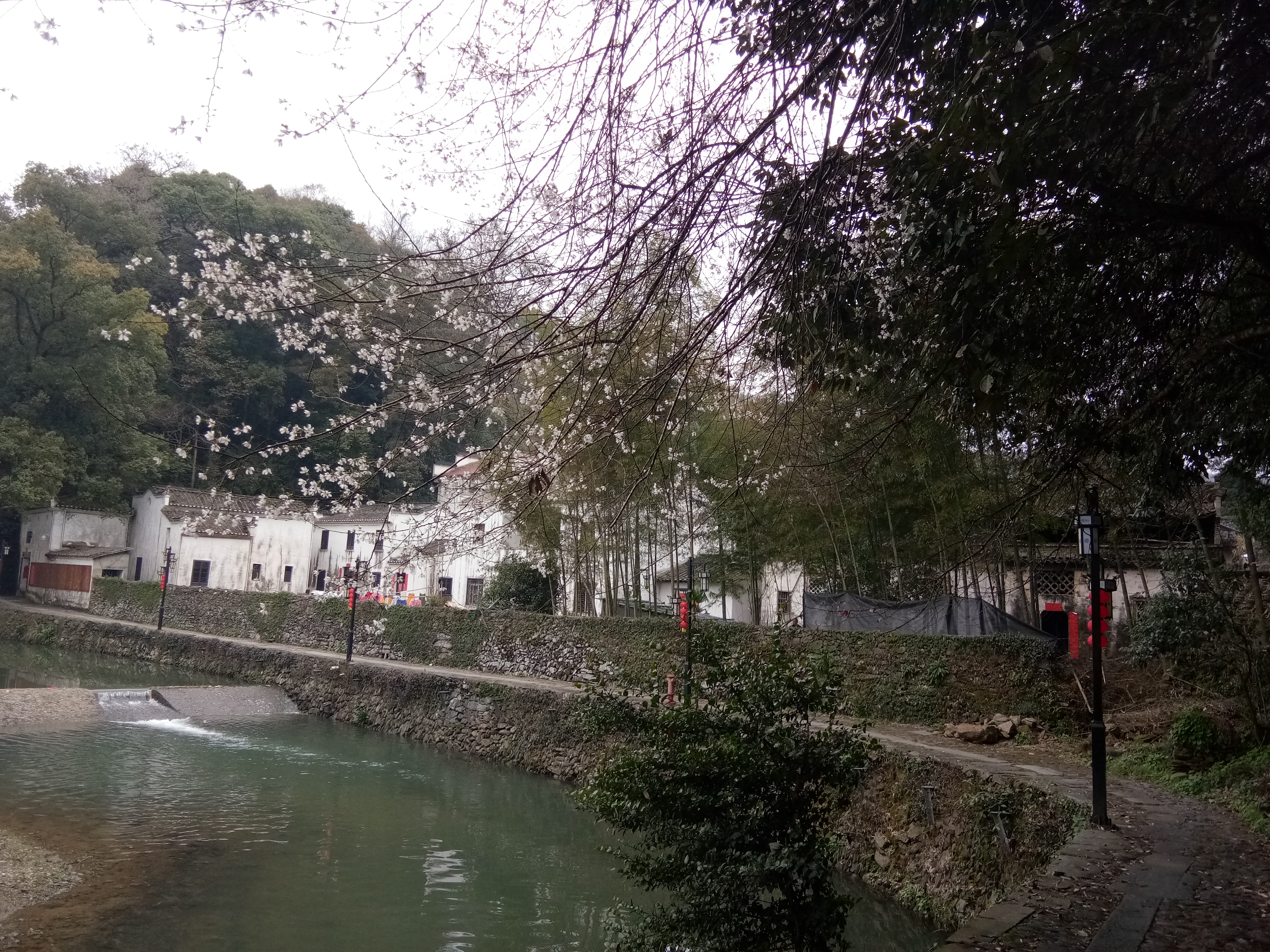 严台古村