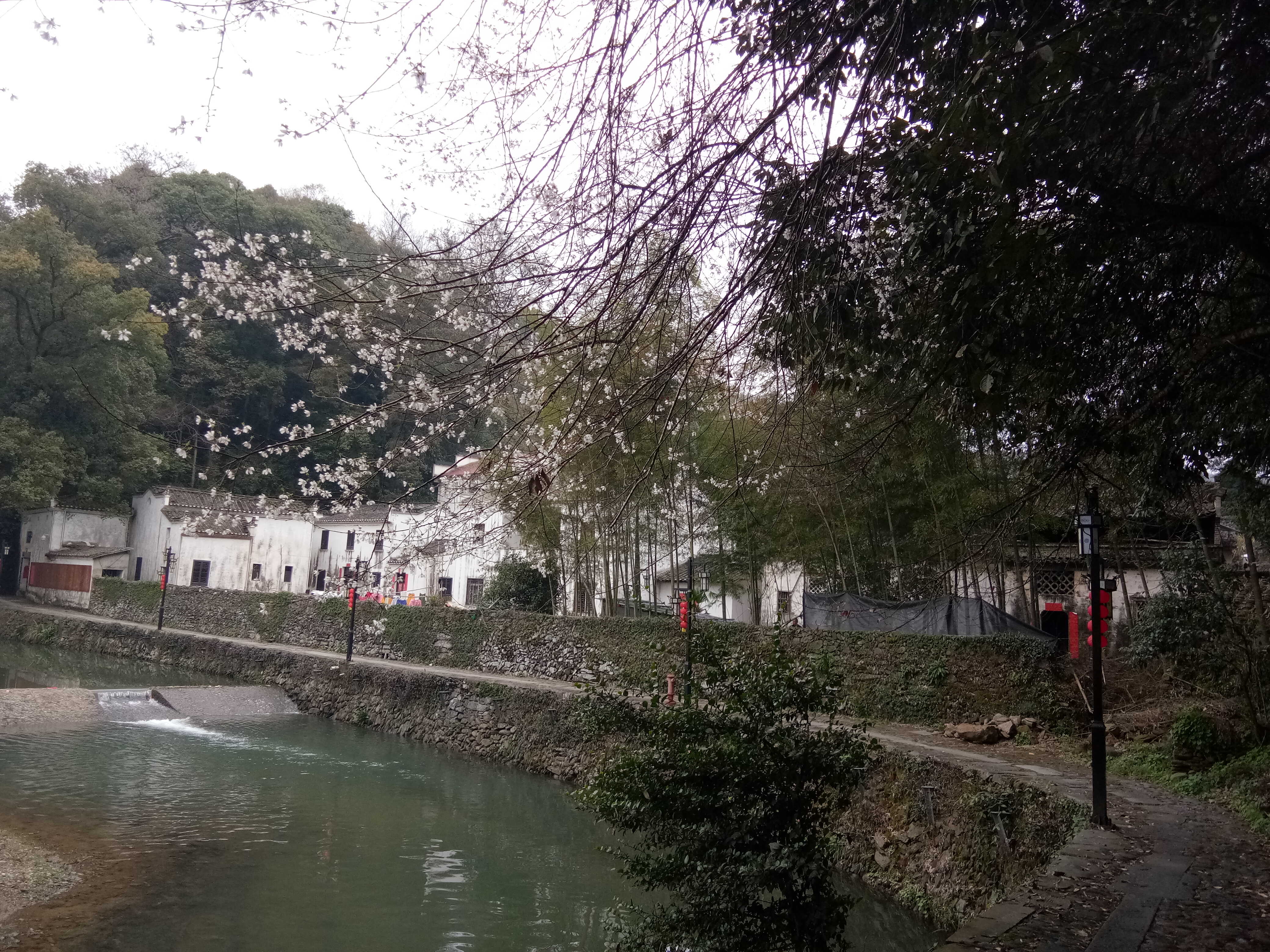 QQ图片20180305092209.jpg